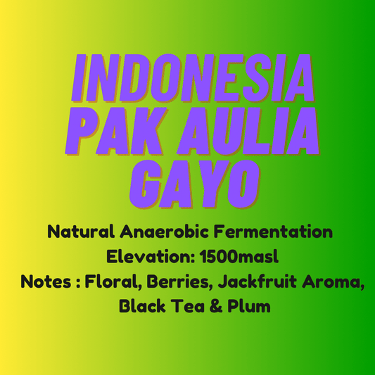 Aceh Gayo Pak Aulia - Wolf & Turtle Coffee