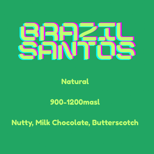 Brazil Santos - Wolf & Turtle Coffee