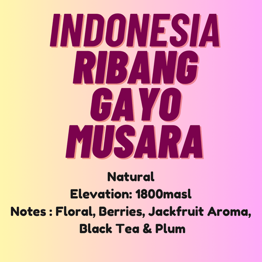 Indonesia Gayo Highland Ratawali Natural (250g) - Wolf & Turtle Coffee