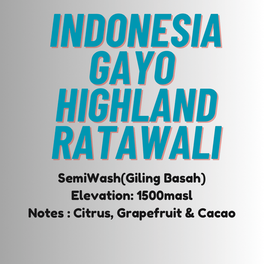 Single Origin Indonesia Sumatra Gayo Ratawali(250g) semi washed - Wolf & Turtle Coffee