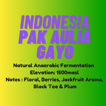 Aceh Gayo Pak Aulia - Wolf & Turtle Coffee