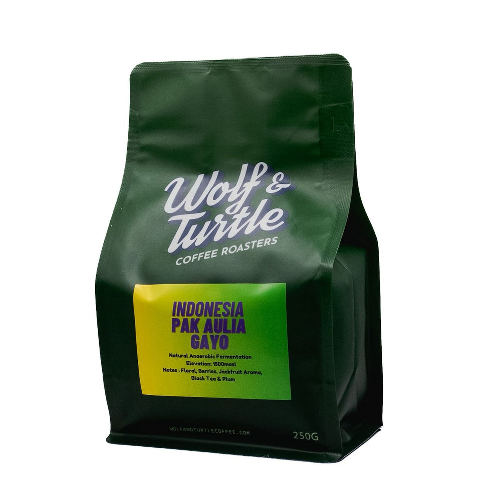 Aceh Gayo Pak Aulia