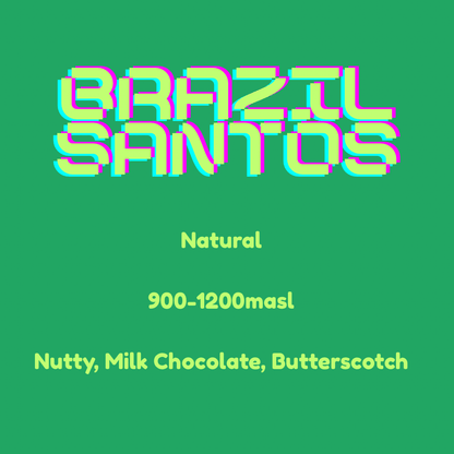 Brazil Santos - Wolf & Turtle Coffee