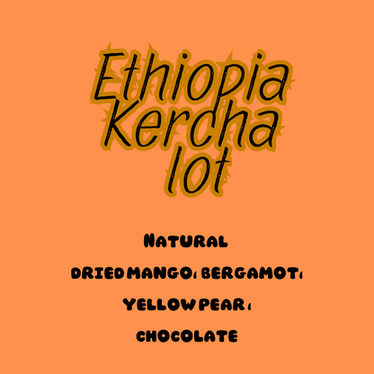Ethiopia Kercha Lot - Wolf & Turtle Coffee