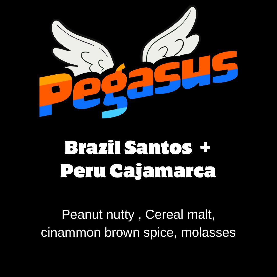 Pegasus - Wolf & Turtle Coffee